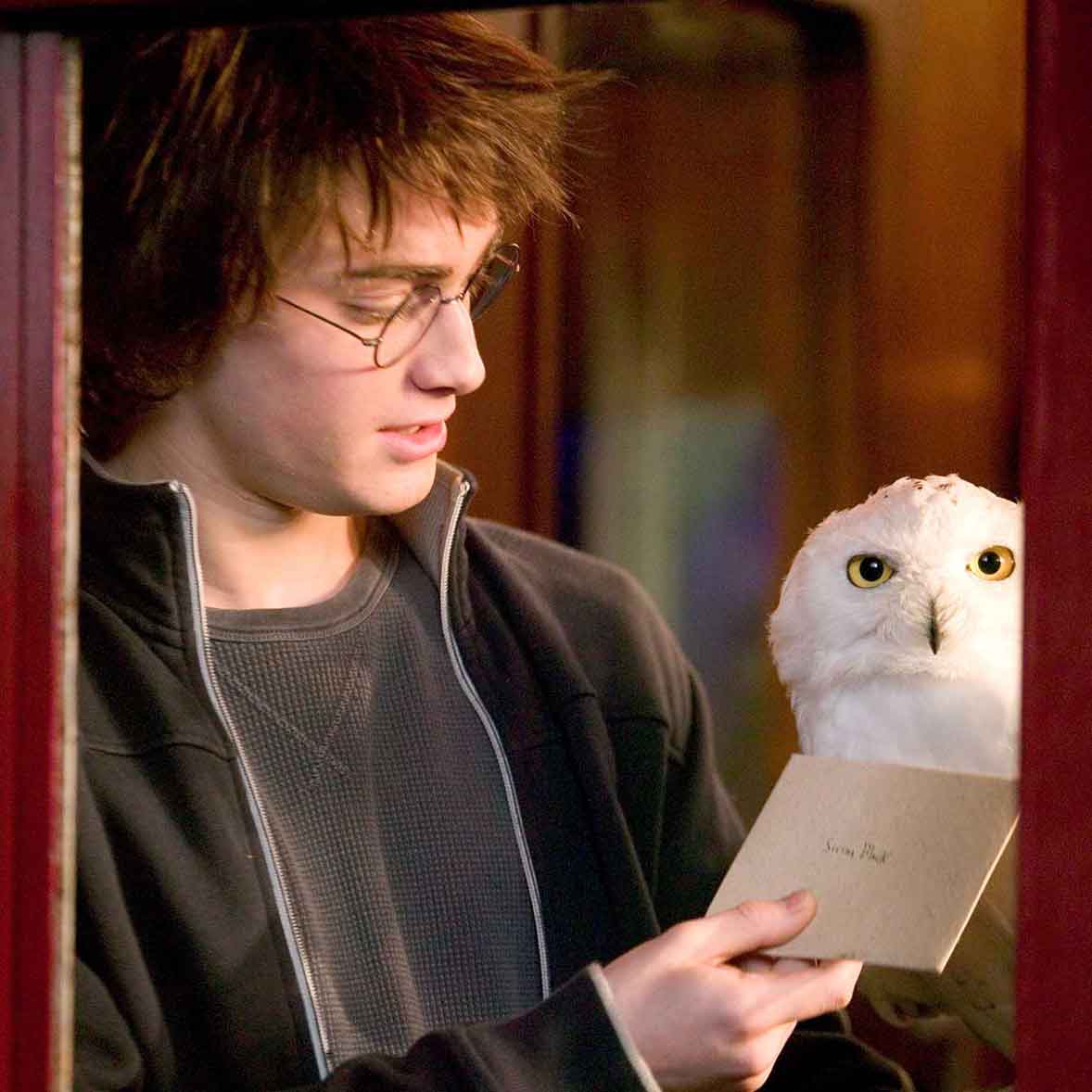 hp-f4-harry-owl-letter-hedwig-train-app-square
