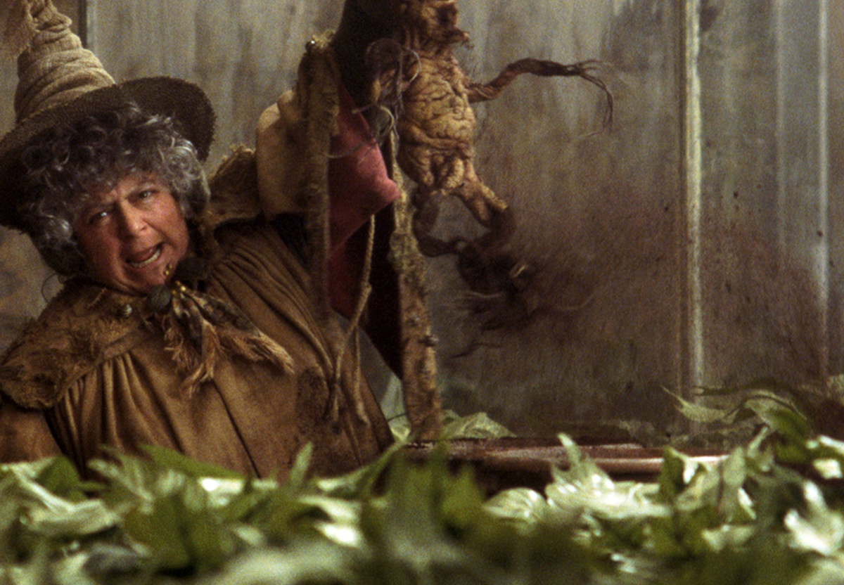 Mandrake | Official Harry Potter Encyclopedia