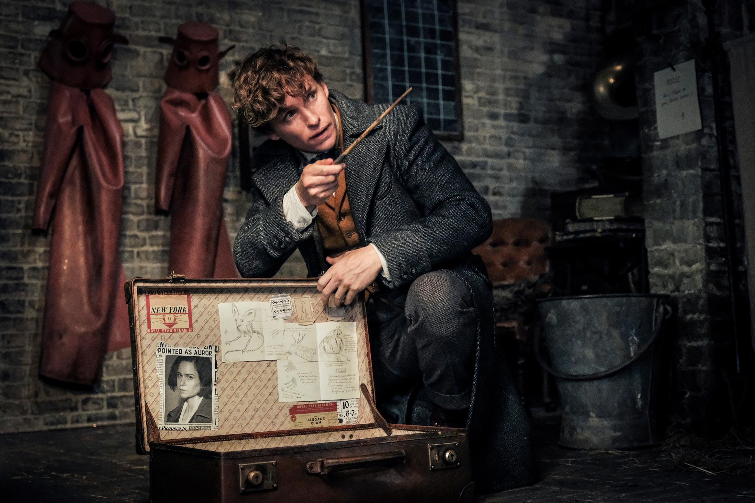 New Fantastic Beasts 2024 Newt Scamander Loot