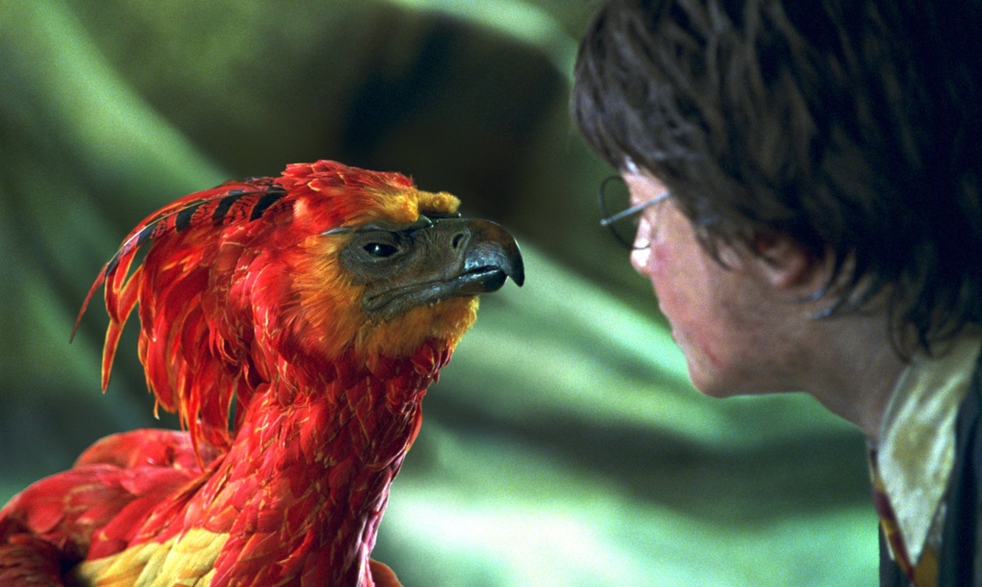 Dumbledore and Fawkes