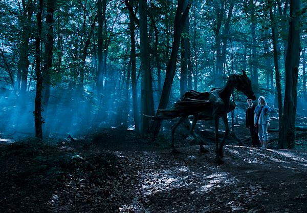 The Forbidden Forest | Official Harry Potter Encyclopedia