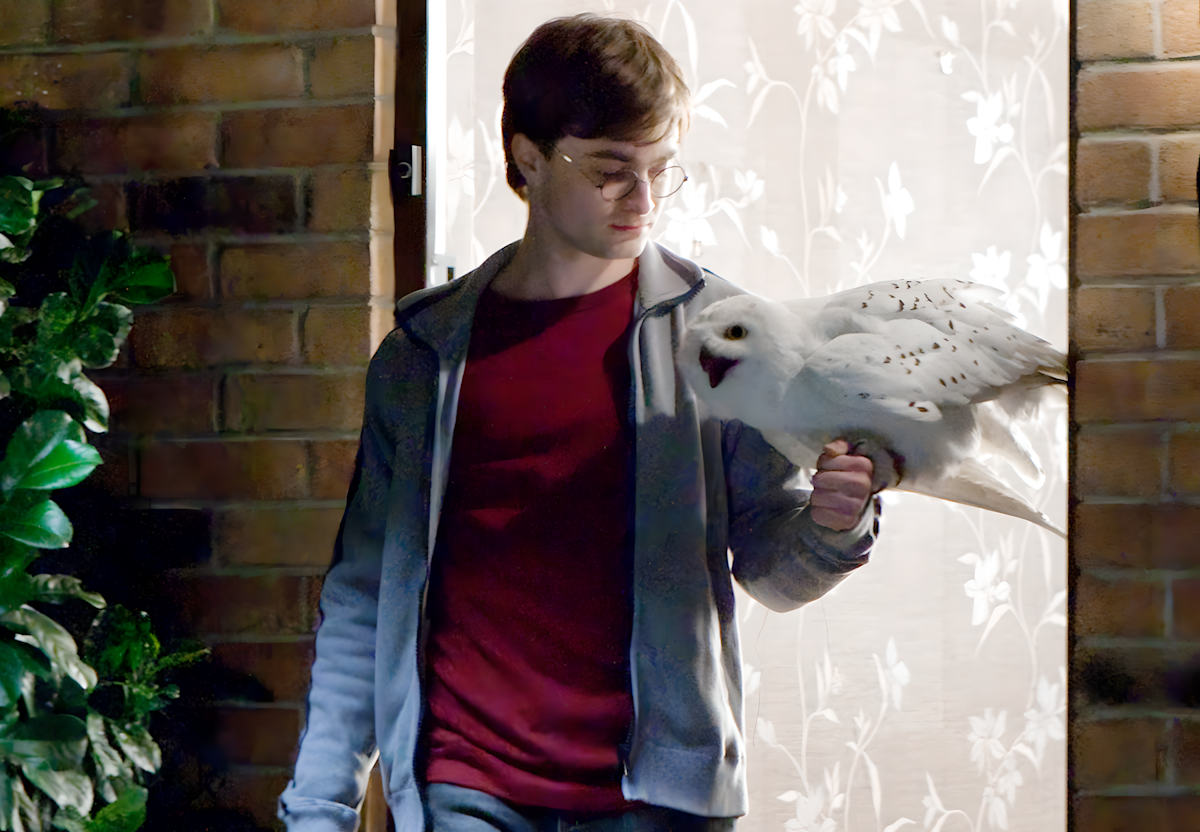 Hedwig Official Harry Potter Encyclopedia hedwig-official-harry-potter-encyclopedia