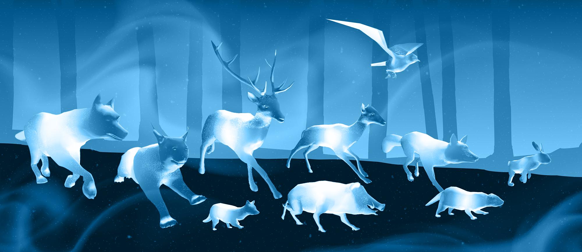 character-patronus-article-hero-image