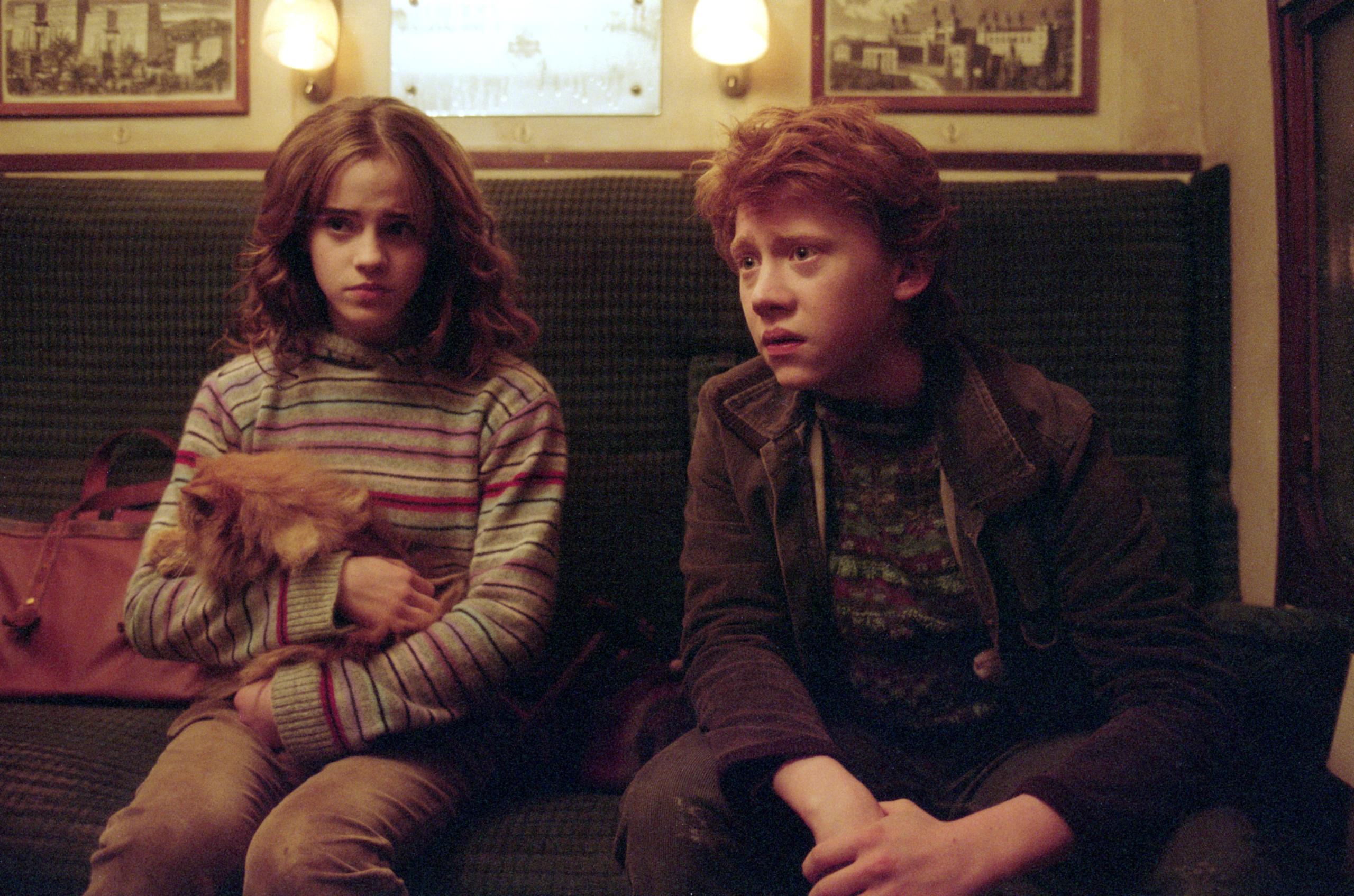 WB F3 Crookshanks HermioneRonAndCrookshanks C171-13 UP HPE3