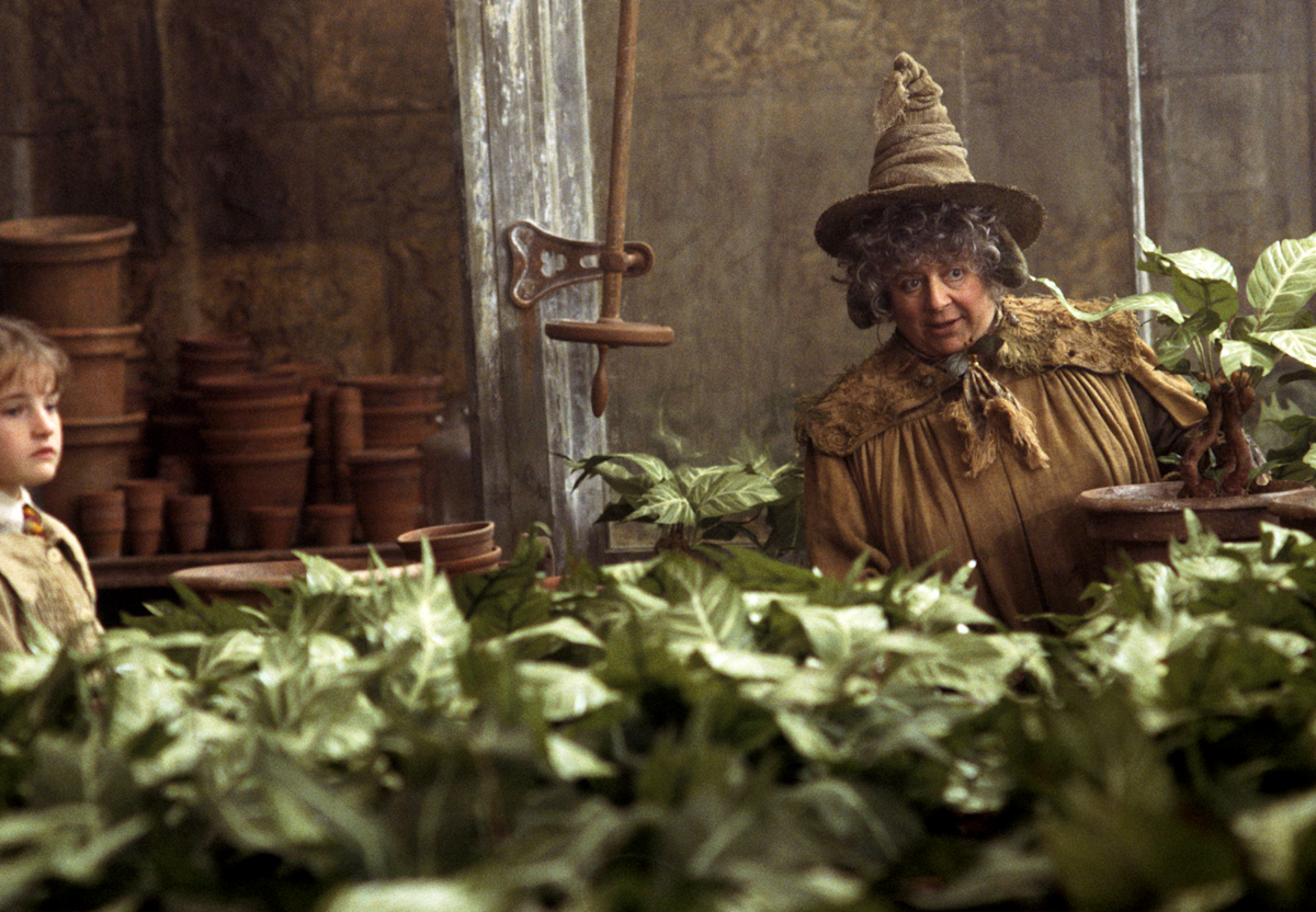 Pomona Sprout | Official Harry Potter Encyclopedia