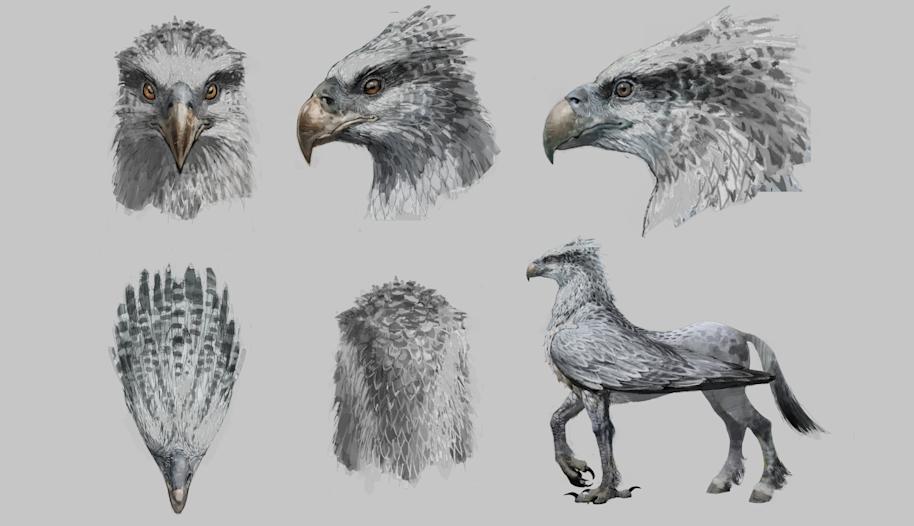 PMARCHIVE-Buckbeak WB F3 ConceptOfBuckbeaksHeadColour Illust 100615 Land 6ks43jN6Sc8oaSAsc4i0Ki-b3