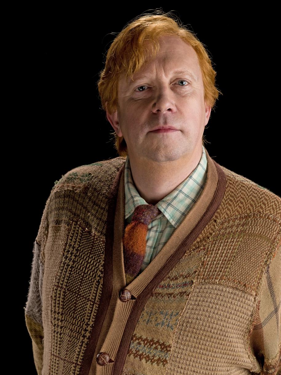 Arthur Weasley from the Half Blood Prince 