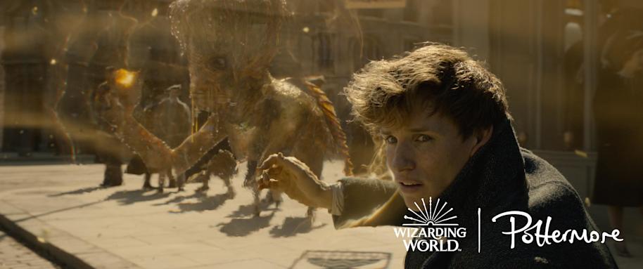 Newt Scamander in Fantastic Beasts: The Crimes of Grindelwald
