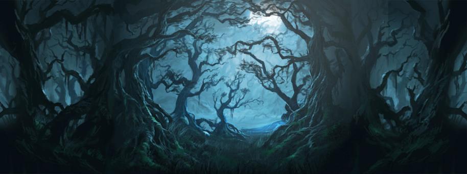 The Forbbiden Forest at night.