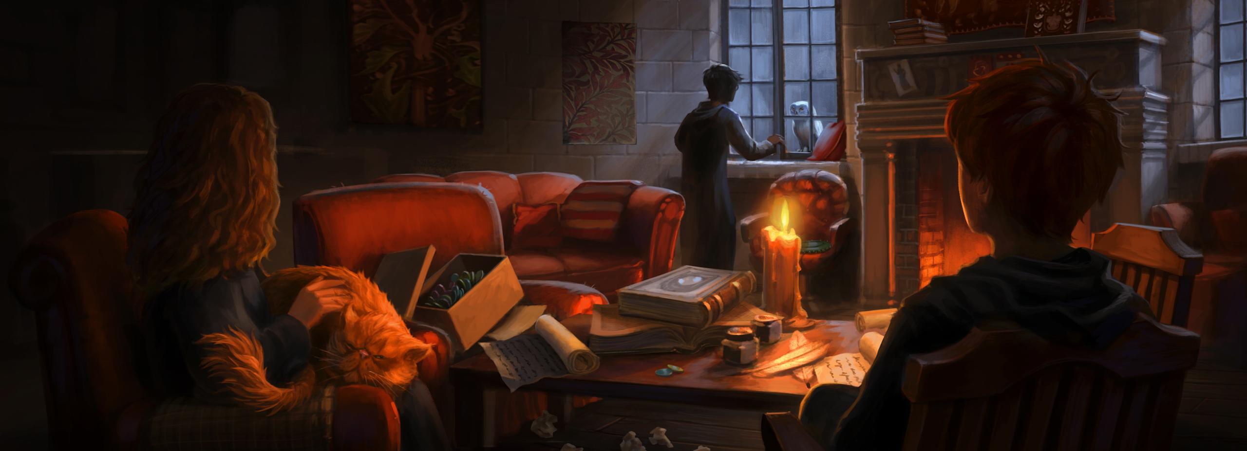 Harry gets a letter delivered to Gryffindor Common room