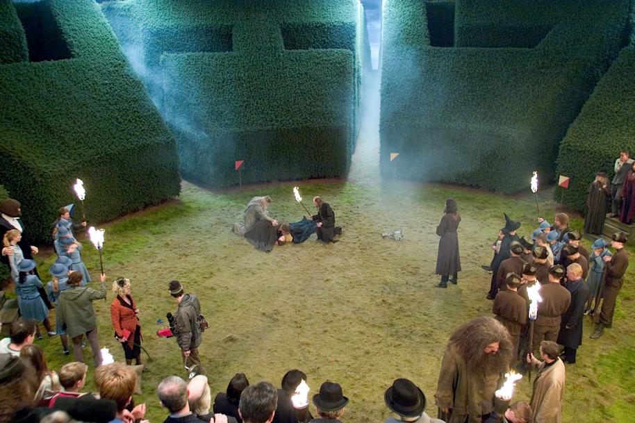 WB HP F4 Goblet of Fire Cedric dead after the Triwizard Tournament maze