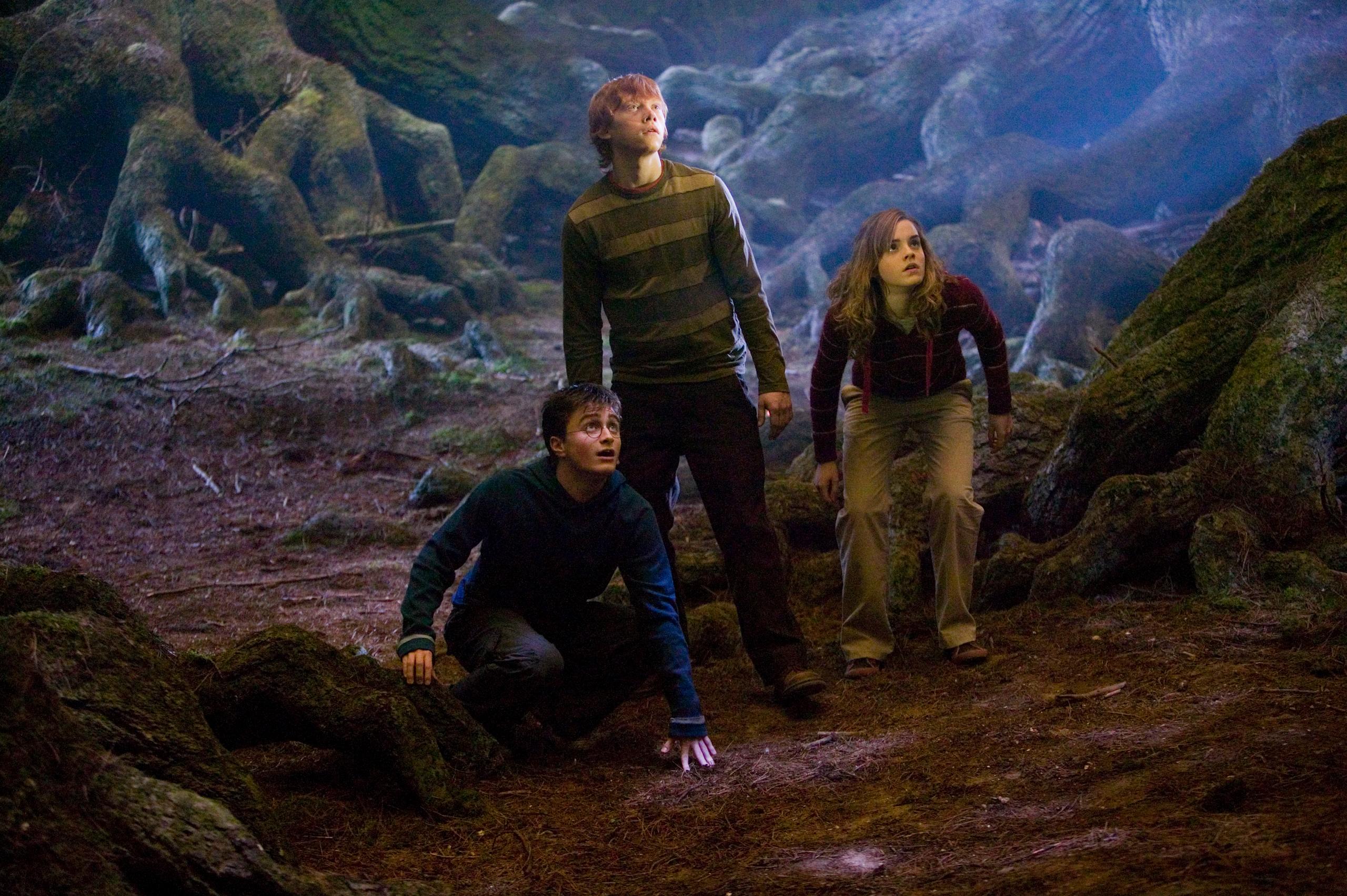 WB F5 HarryRonAndHermione ForbiddenForestFloor HP5D-0513r