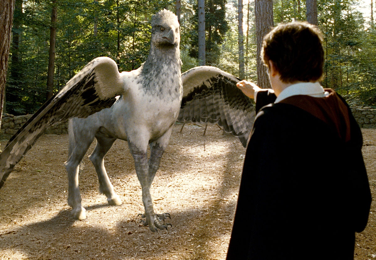 Buckbeak | Official Harry Potter Encyclopedia
