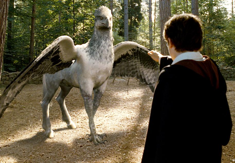 Buckbeak Fact File Image buckbeak_1_1800x1248