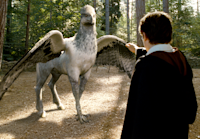 Buckbeak