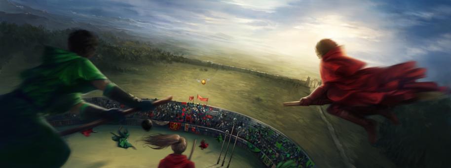 Quidditch Match Gryffindor Vs Slytherin 