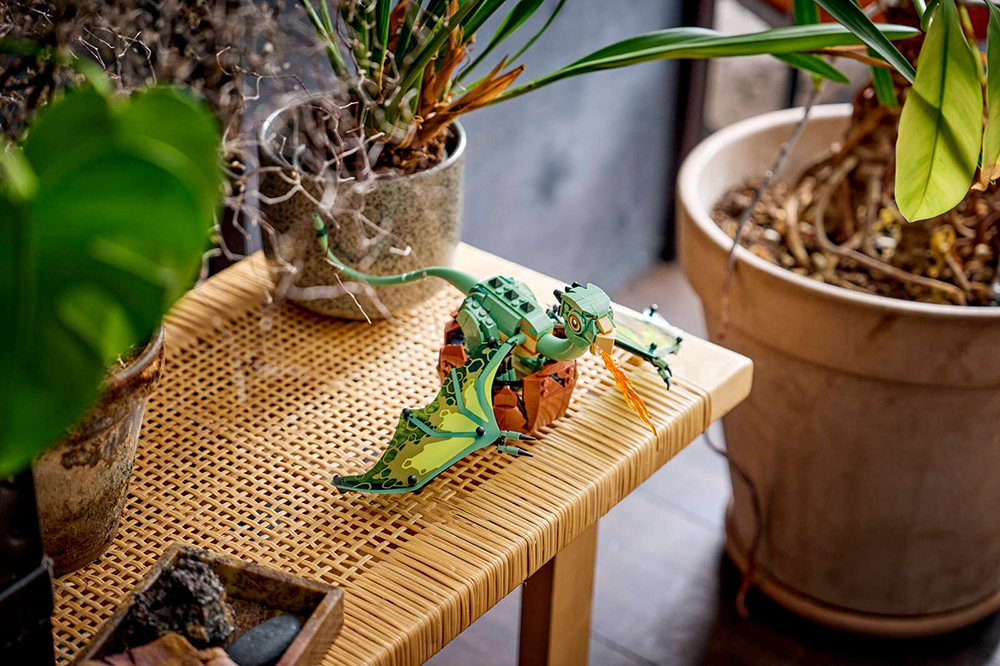 norbert-the-baby-dragon-set-june-26