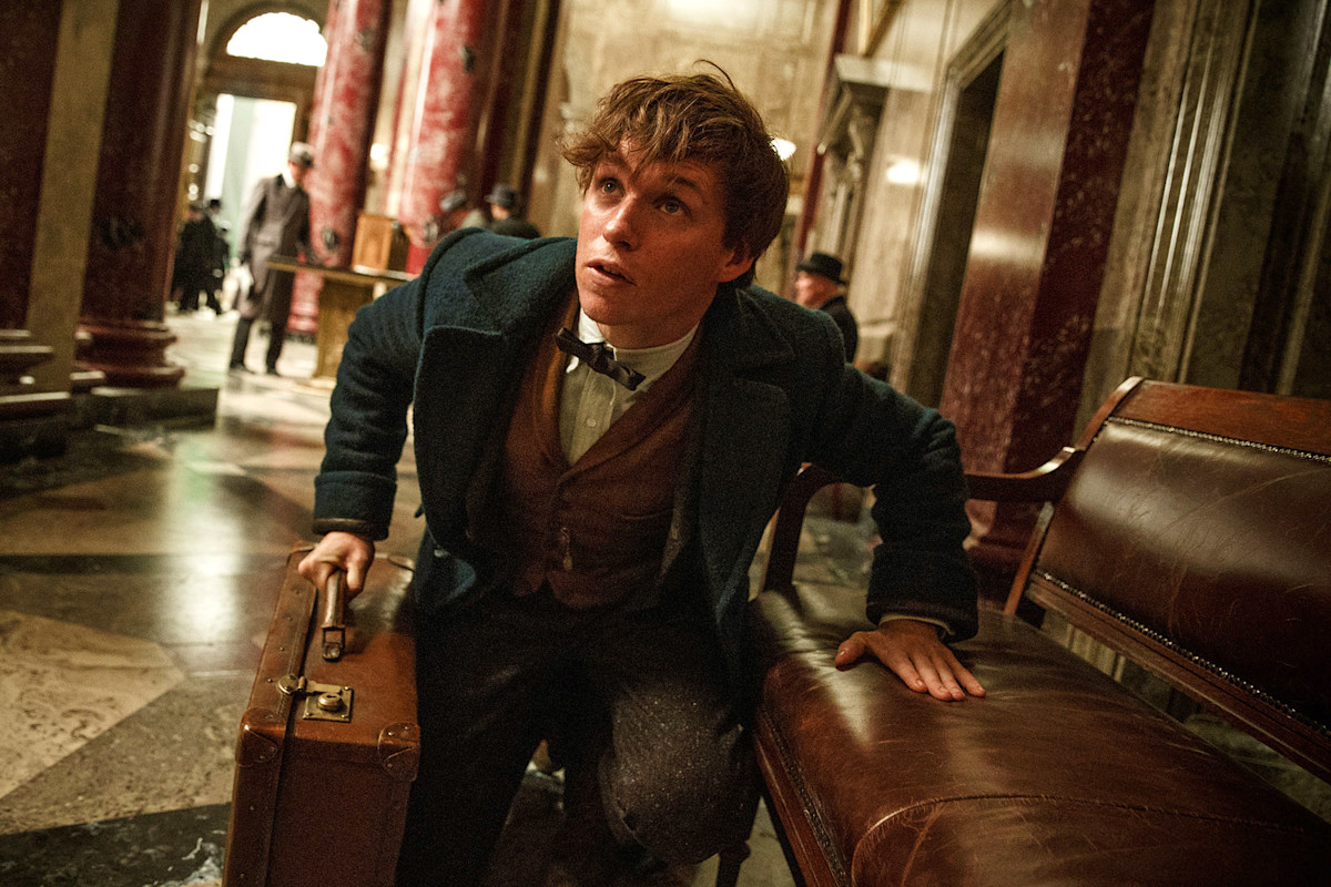 Harry Potter | The Weirdest Fantastic Beasts | Wizarding World