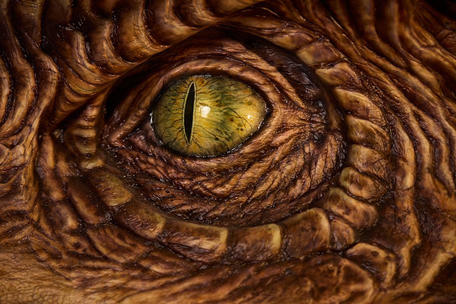 WBSTL-triwizard-tournament-feature-dragon-eye-close-up-landscape
