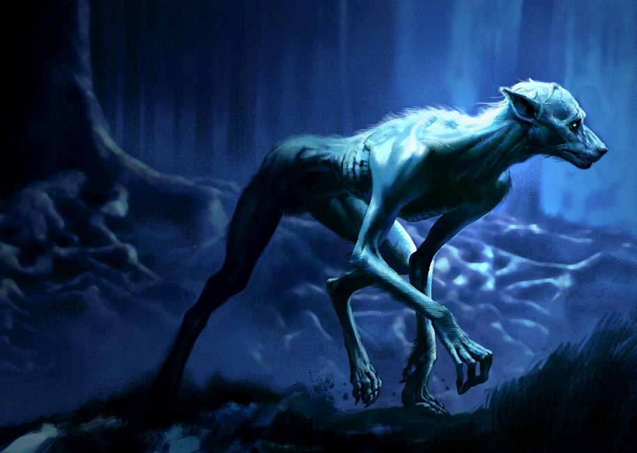A werewolf in the forest from the Prisoner of Azkaban  