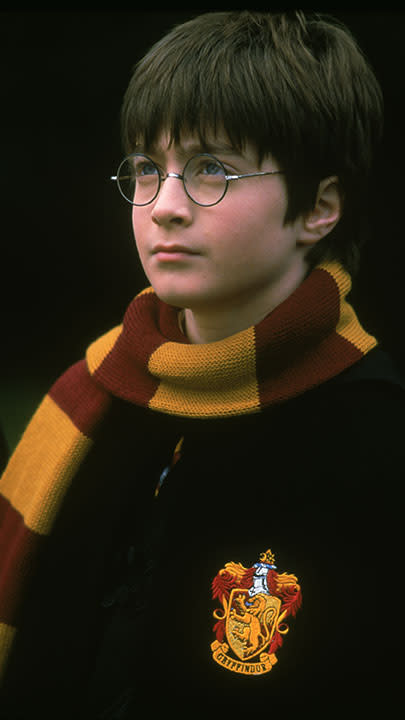 hp-f1-harry-scarf-gryffindor-portrait