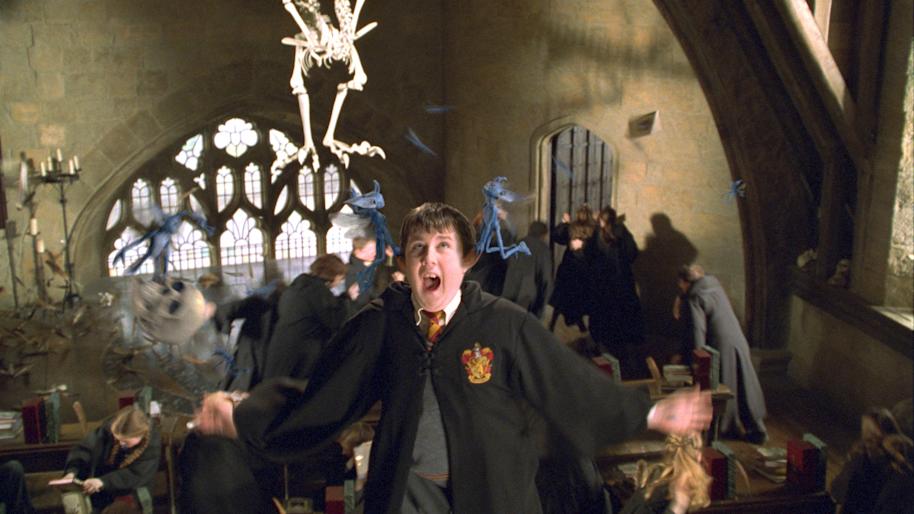HP-F2-chamber-of-secrets-neville-pixies-ears-classroom-flying-web-landscape