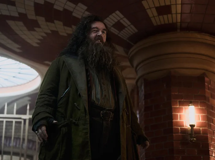 dt-series-hub-gallery-6-hagrid