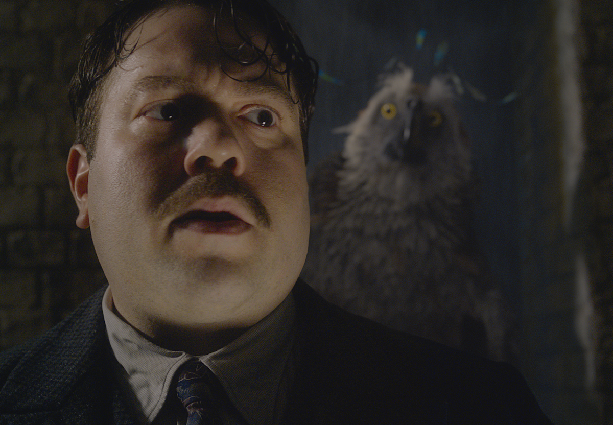 Augurey Riddle Hypocrite Animal Harry Potter