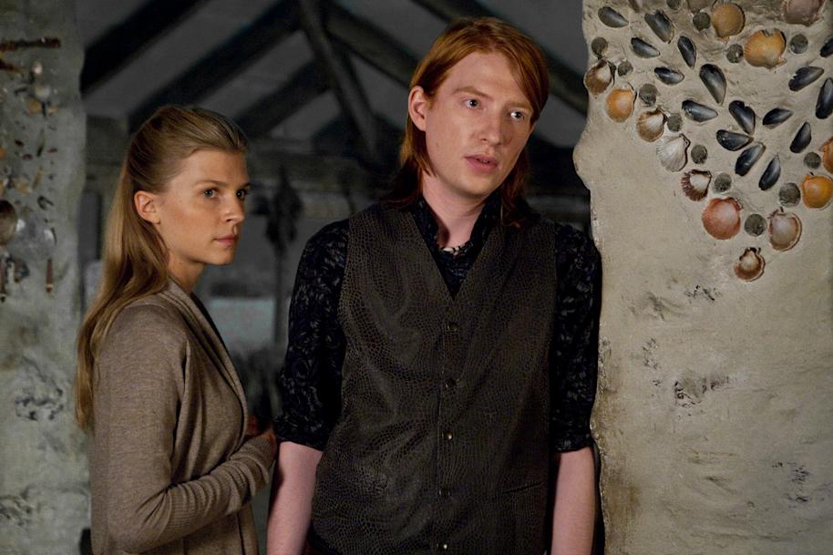 WB-HP-F8-deathly-hallows-bill-and-fleur-at-shell-cottage