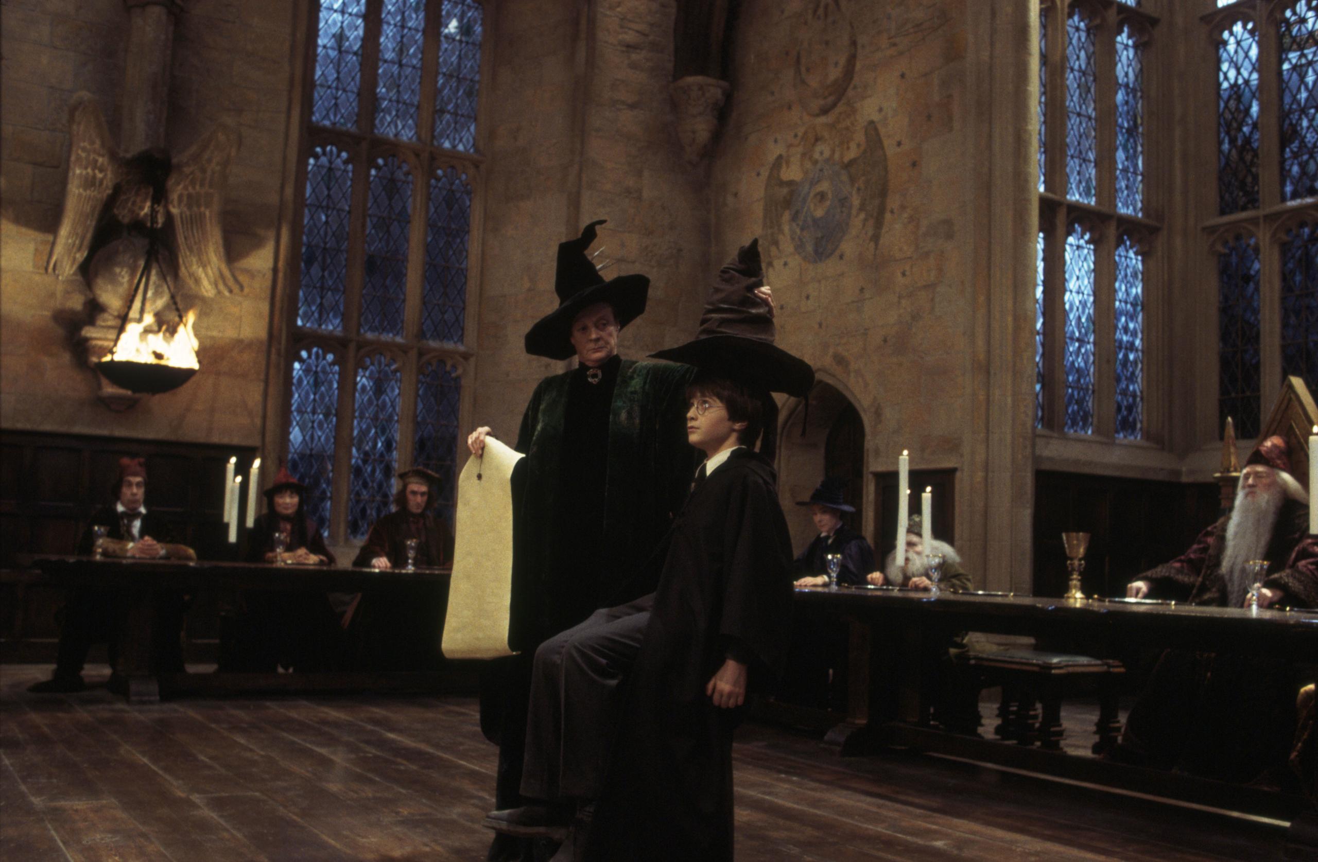 WB F1 HarryAndMcGonagall HarryIsSorted 00356412