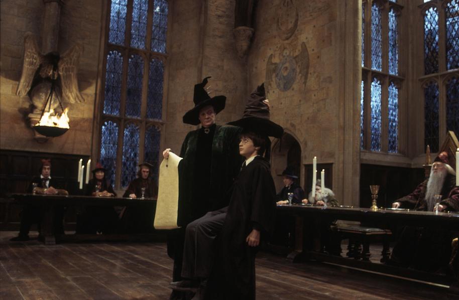 PMARCHIVE-WB F1 HarryAndMcGonagall HarryIsSorted 00356412 5tls6FOVzy42US4GskkiSU-b9