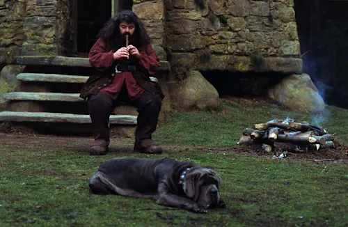 The ultimate Hagrid quiz