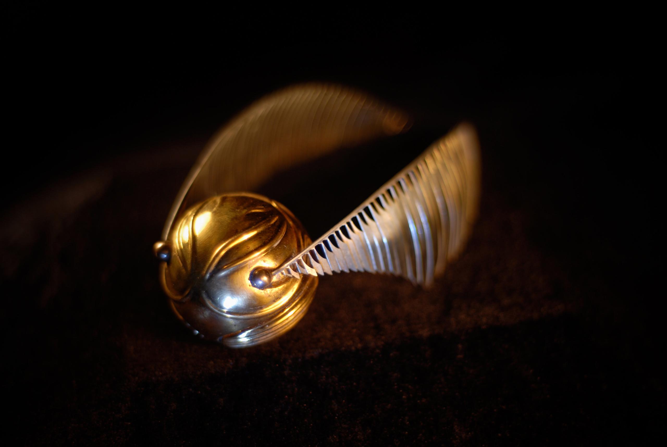 The snitch flying from the Philosopher's Stone 
