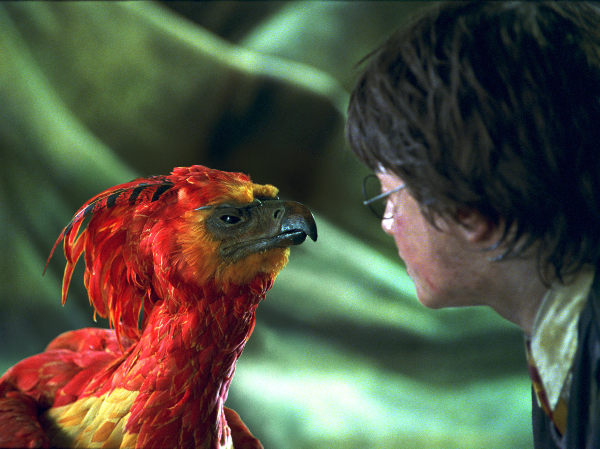 Harry top Potter fawkes