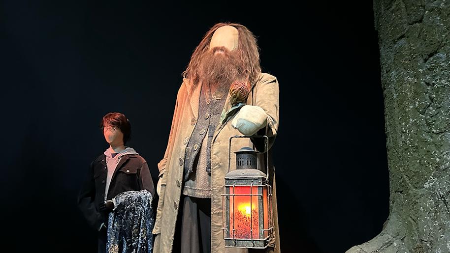 WBSTL-triwizard-tournament-feature-harry-hagrid-forbidden-forest-landscape