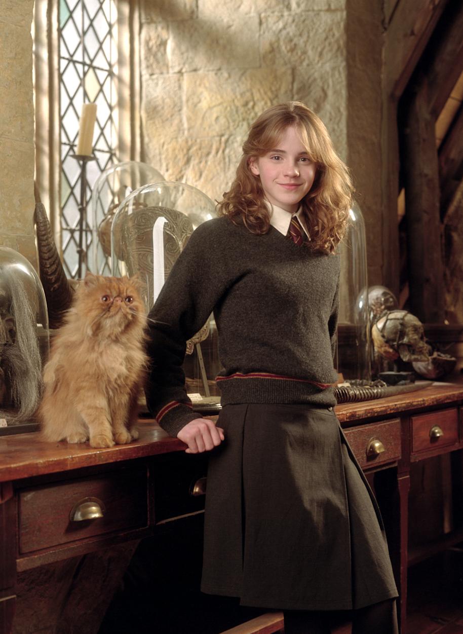 PMARCHIVE-WB F3 Crookshanks HermioneWithCrookshanks C240 51 UP HPE3 1tQbI9zh8UakCEQkaUC26Y-b4