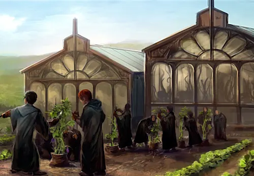 Magical or Muggle: Herbology edition