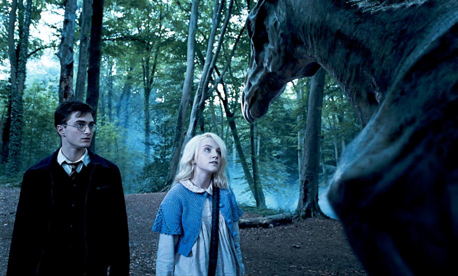 Harry and Luna look at Thestrals in the forest in a still from the Order of the Phoenix.