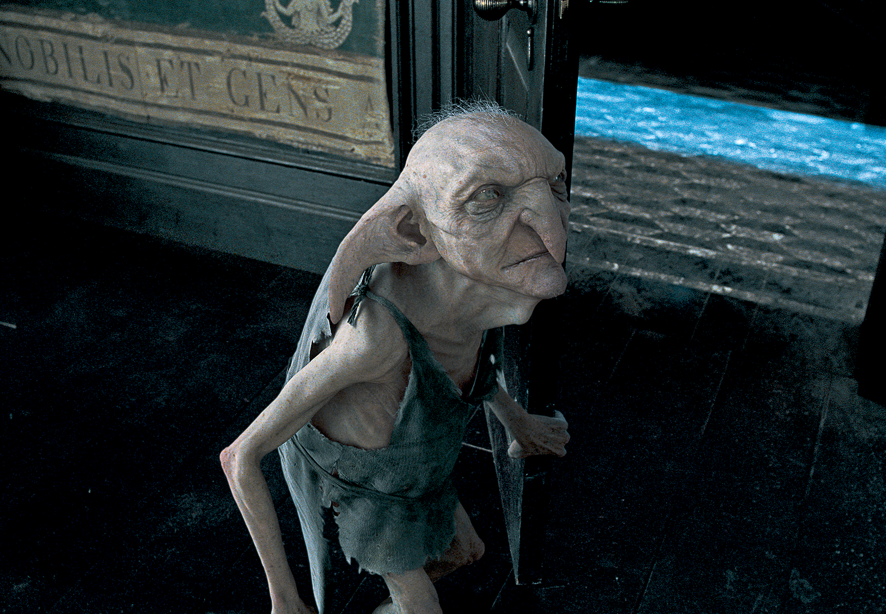 House elf Official Harry Potter Encyclopedia