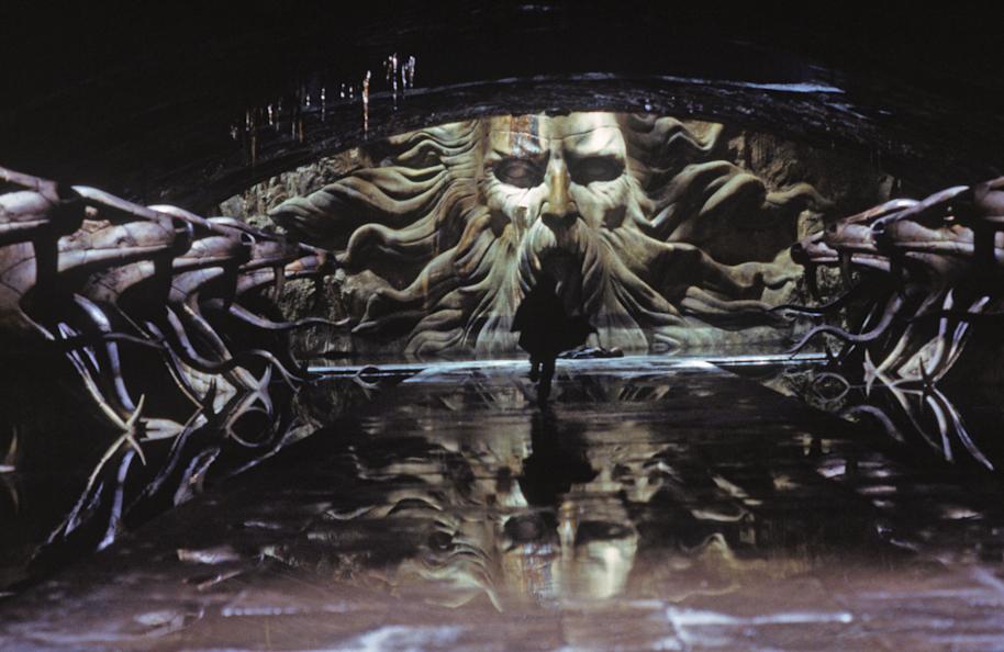 Harry in the Chamber of Secrets 