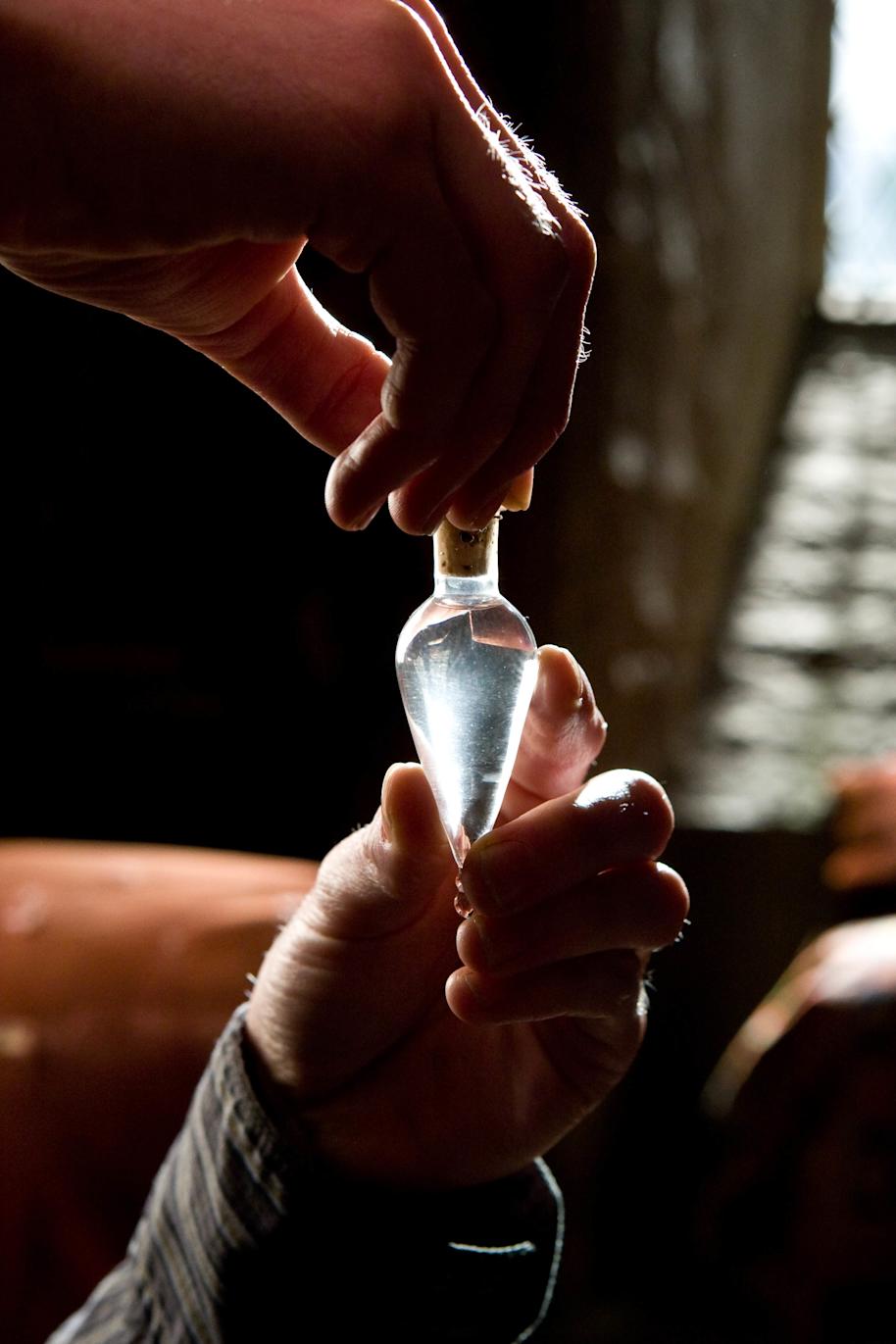 A bottle of Felix Felicis