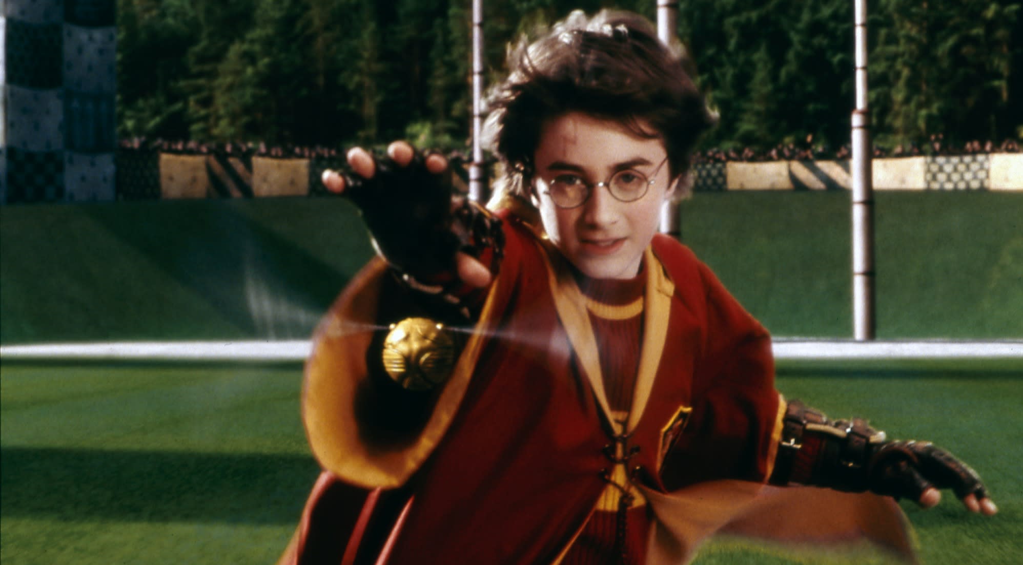 Harry Potter Quidditch Match hotsell