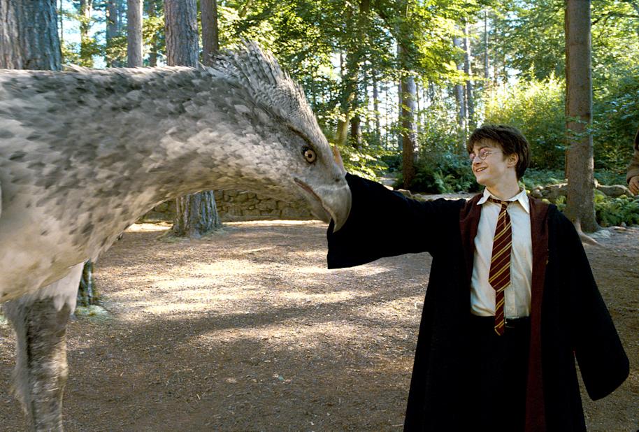 HP-F3-prisoner-of-azkaban-harry-stroking-buckbeak-care-of-magical-creatures-forbidden-forest-web-landscape