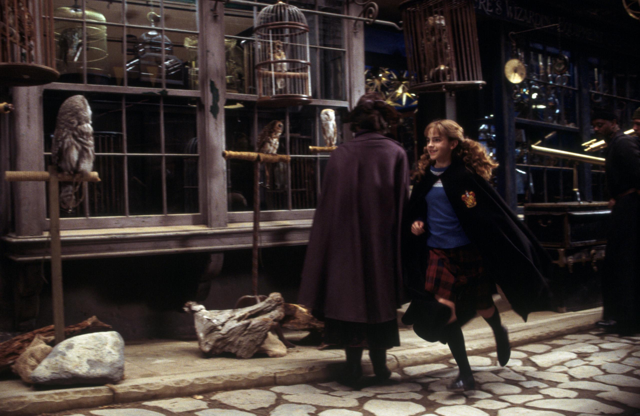Harry running in Diagon Alley from the Chamber of Secrets 