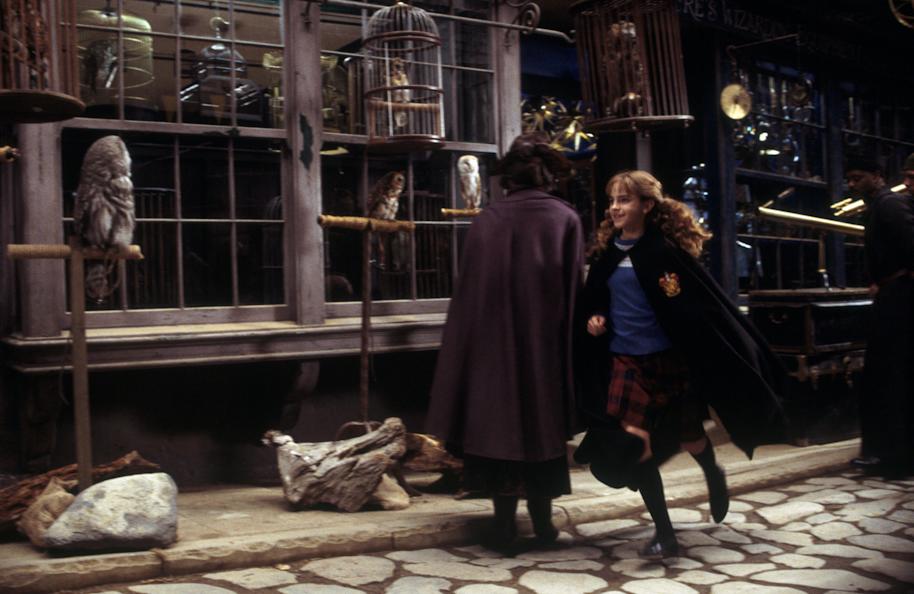 Harry running in Diagon Alley from the Chamber of Secrets 