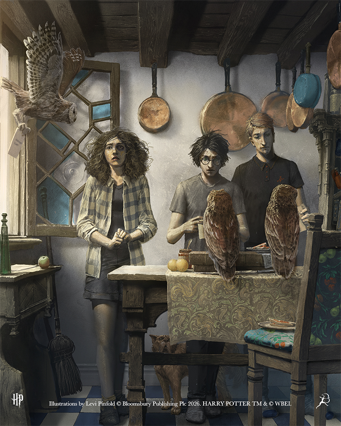 Illustration of Harry, Ron and Hermione receiving owl post at the Burrow