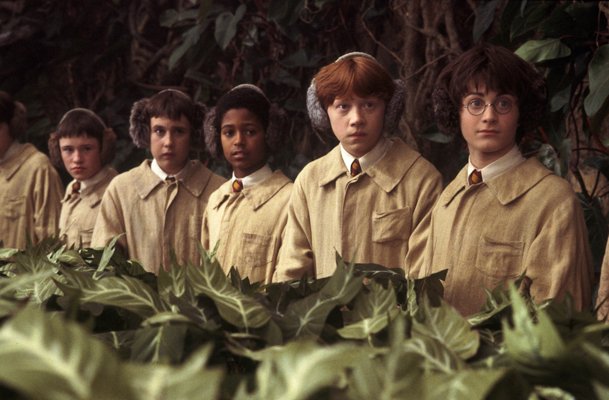 Harry Potter | New feature, Mandrakes and Magical Creatures coming 
