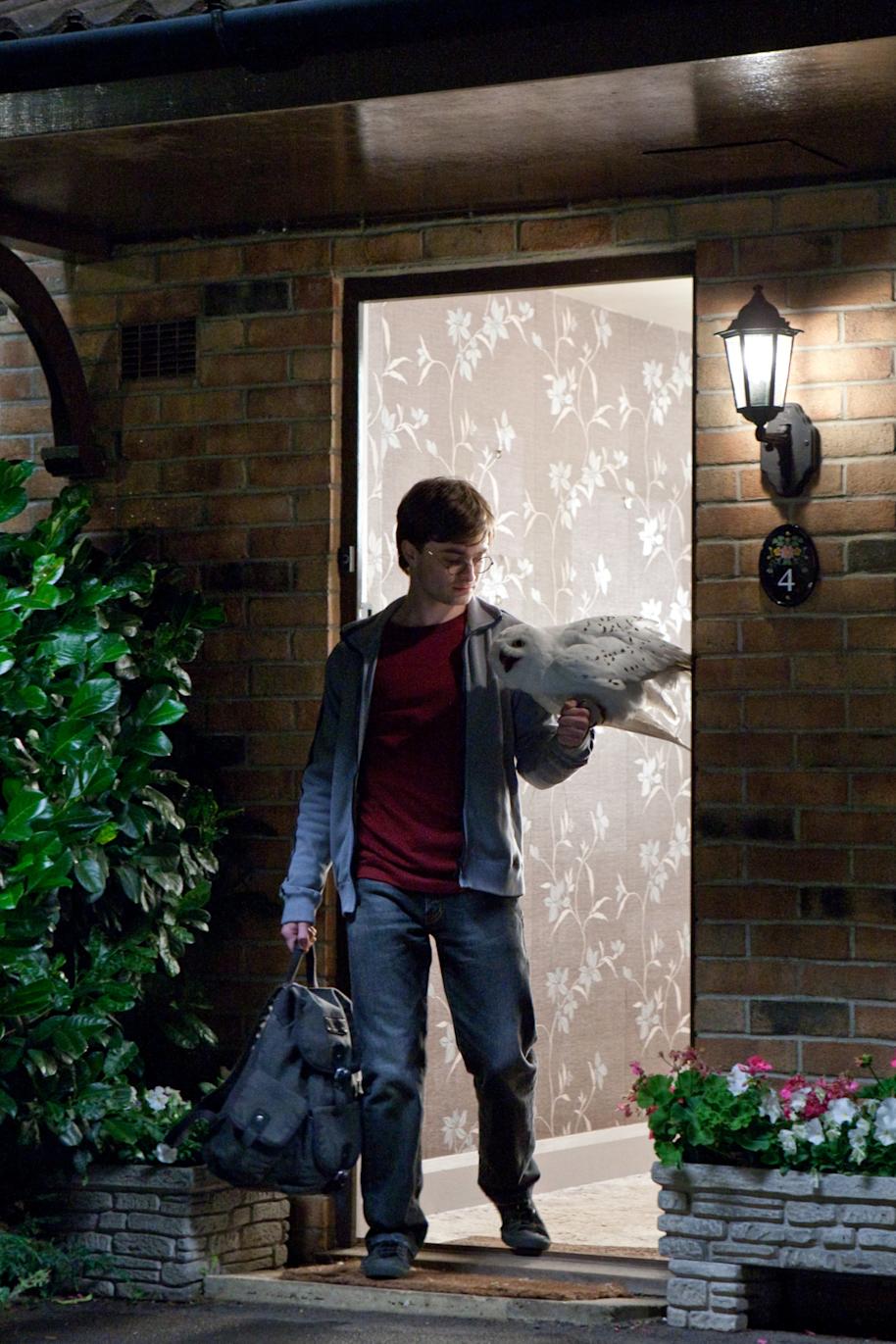 Harry and Hedwig leaving Privet Drive for the last time 